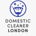 Domestic Cleaner London logo